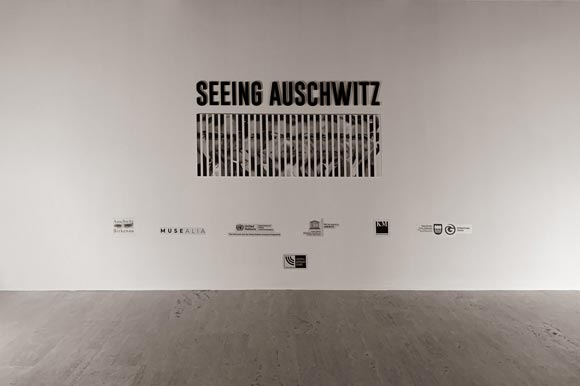 Seeing Auschwitz